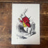 Alice In Wonderland White Rabbit Illustration - Metal Alice In Wonderland Wall Sign