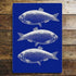 Blue Fish  - Metal Movie Wall Sign