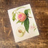 Fruit Noblesse Peach Botanical Flower Illustration Metal  Wall Sign