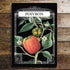 Garden Seeds Poivron Bell Pepper Kitchen - Metal Advertising Wall Sign