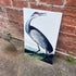 Hooping Crane Botanical Illustration John James Audubon Metal  Wall Sign