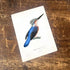 Kingfisher Blue Bird - Metal Botanical Wall Sign