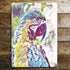 Multicoloured Parrot Wall Sign