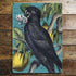 Parrot Bird Tropical Rainforest- Metal Humour Wall Sign