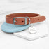 Personalised Classic Brown Leather Dog Collar with Tag PER4379