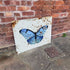 Vintage Butterfly With Rust -  Metal Sign Plaque