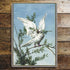 Vintage Christmas Dove - Metal Wall Tin Sign