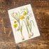 Vintage Flower Illustration Yellow Iris  2 - Metal Wall Sign
